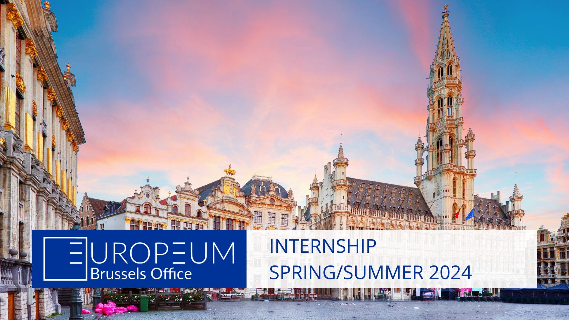 Internship in our Brussels office (spring/summer 2024)