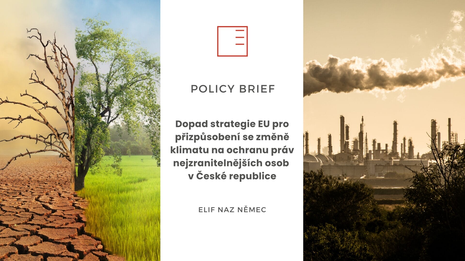 Policy Brief | Dopad strategie EU pro přizpůsobení se změně klimatu na ochranu práv nejzranitelnějších osob v České republice