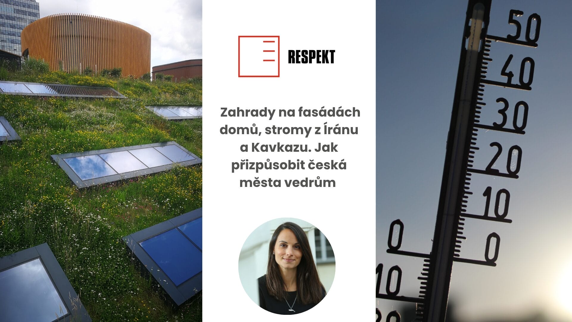 Respekt | Zahrady na fasádách domů, stromy z Íránu a Kavkazu. Jak přizpůsobit česká města vedrům