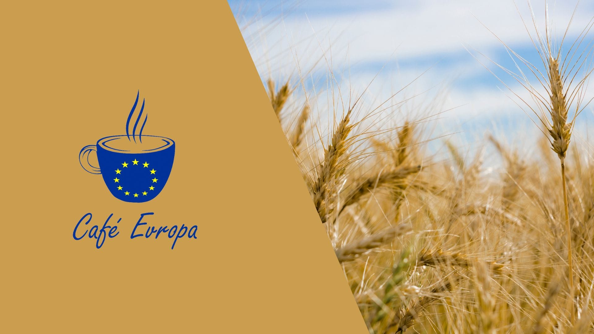 INVITATION: Café Evropa online: The future of the Common Agricultural Policy - who will benefit from it?