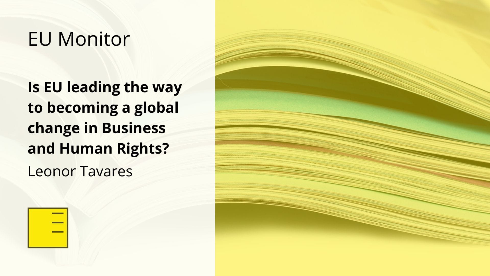 EU MONITOR: Is EU leading the way to becoming a global change in business and human rights?