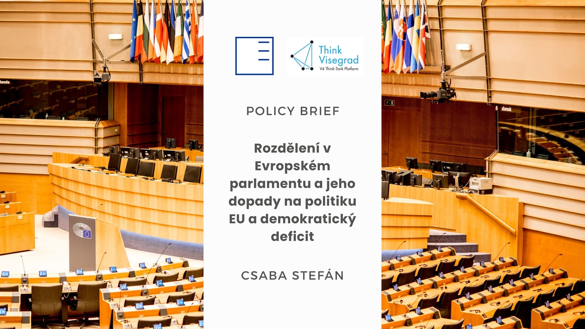 Policy Brief | Rozdělení v Evropském parlamentu a jeho dopady na politiku EU a demokratický deficit
