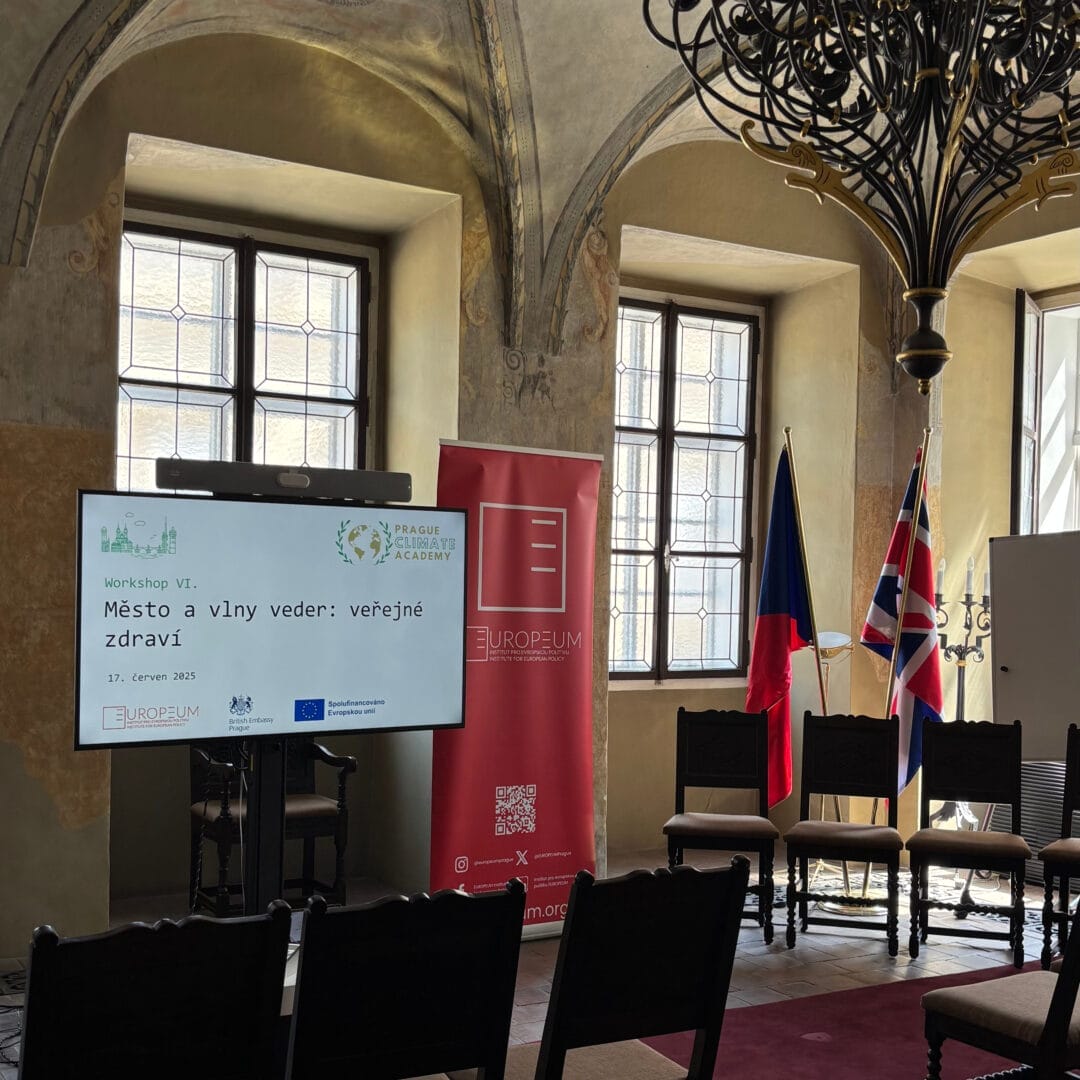 REPORT: Prague Climate Academy – Město a vlny veder: veřejné zdraví